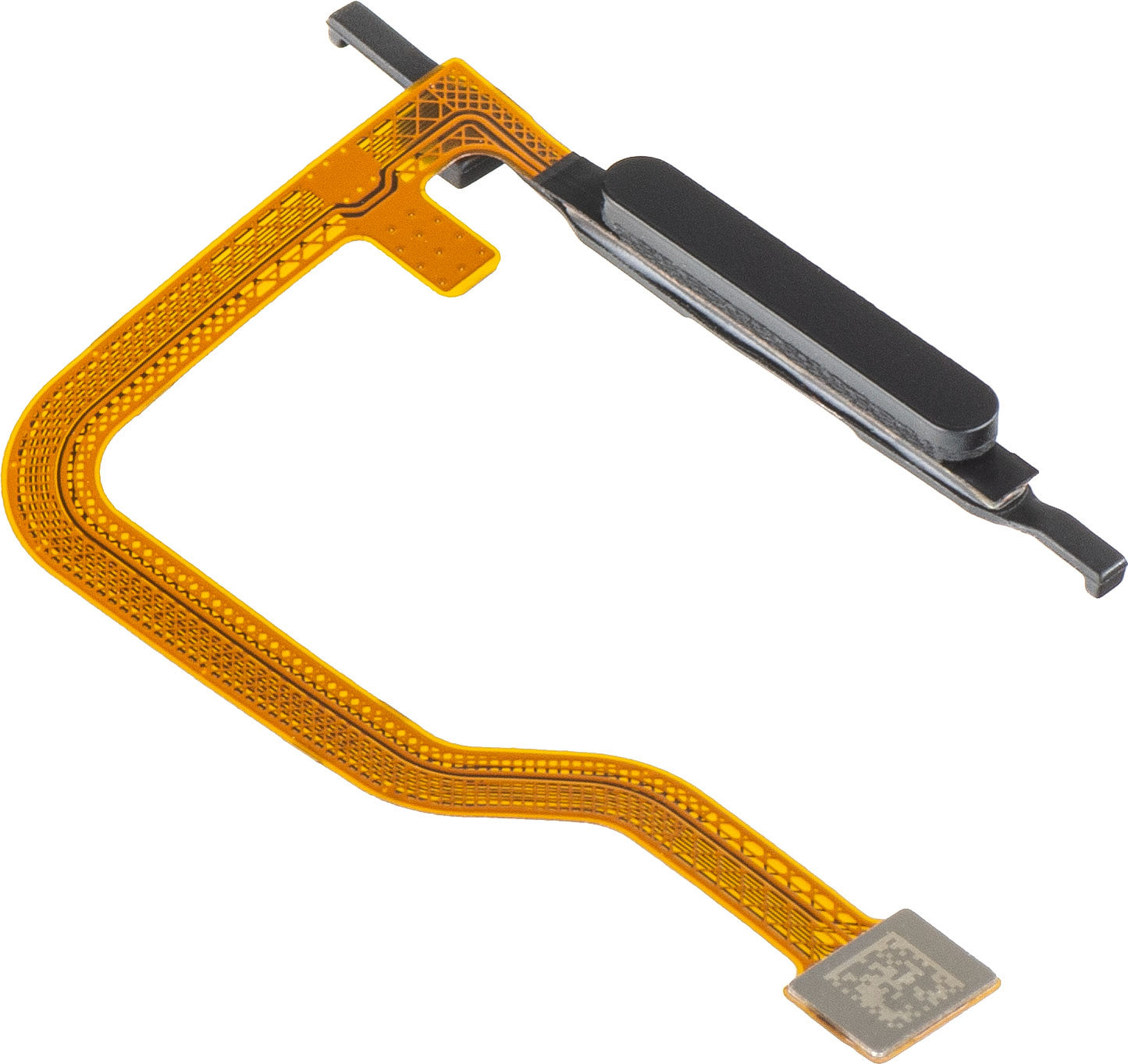 Sensor de Huella HMD Fusion, con banda, Negro, Service Pack 60400532H001