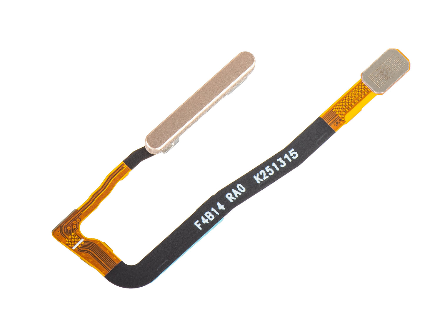 Sensor de Huella Honor Magic V5, con banda, Dorado (Dawn Gold), Service Pack 2310AAGX