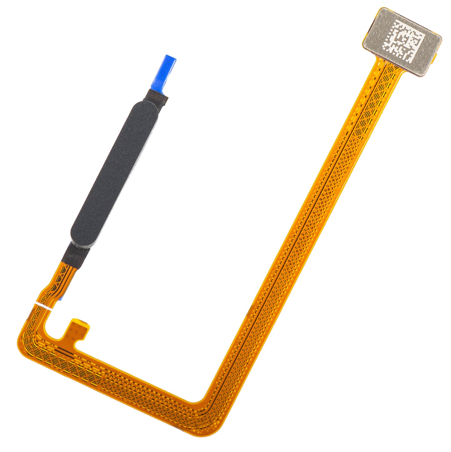 Sensor de Huella Honor X5c Plus, con banda, Negro (Midnight Black), Paquete de Servicio 9707ACFE