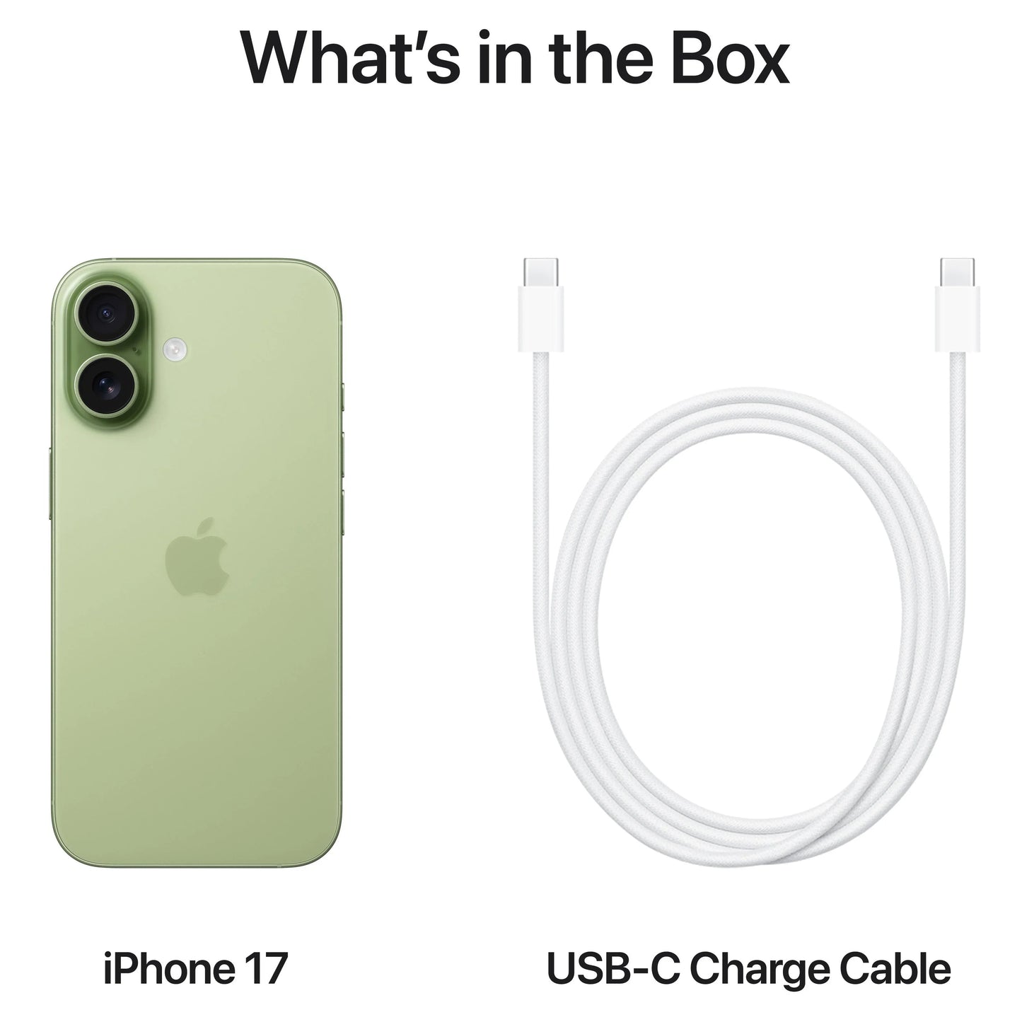 Teléfono Móvil Apple iPhone 17, 256GB, Sage MG6N4ZD/A
