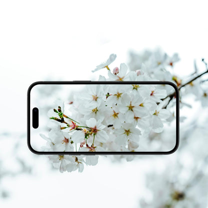 Protector de cámara trasera Anank AR para Apple iPhone 17 Air, Cristal Templado, Multicolor