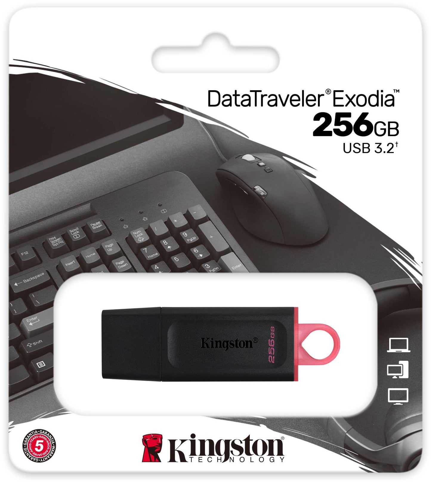 Memoria Externa USB-A 3.2 Kingston DT Exodia, 256Gb DTX/256GB