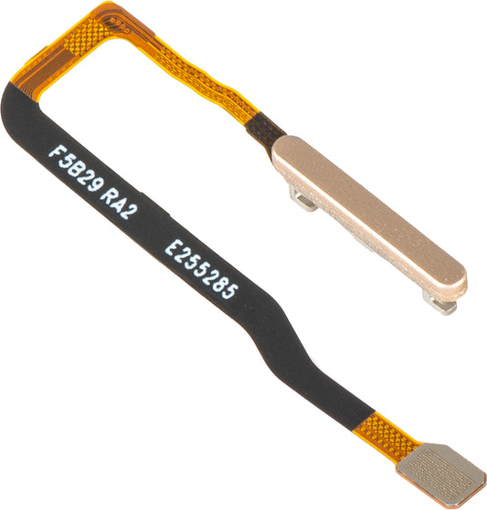 Sensor de Huellas Honor Magic V6, con banda, Dorado, Service Pack 2310AAKT