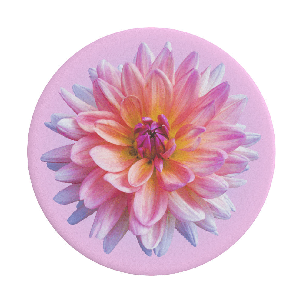 Soporte PopGrip Popsockets Dahlia Icon, Multicolor